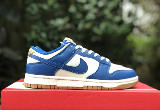 Nike SB Dunk Low FB7173-141 36-47.5